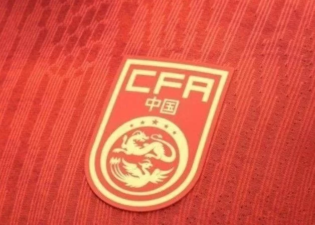 Tianjin Media: National Team Player Claims Injury to Avoid Playing, Ivan’s Assistant Suspicious of Some Players’ Injuries