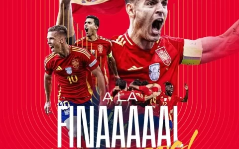 Spain Reach Euro Final After 12 Years