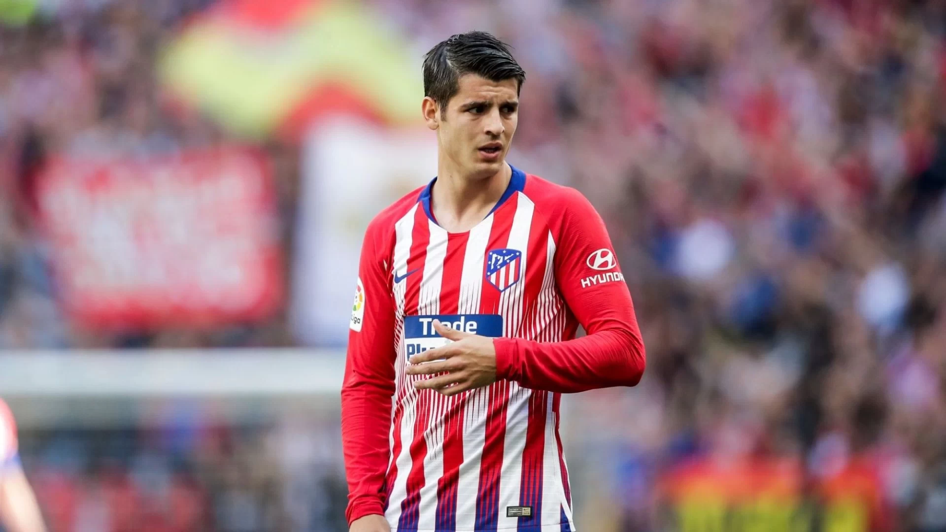 Sport: Ibrahimovic personally calls Morata to invite him to join Milan