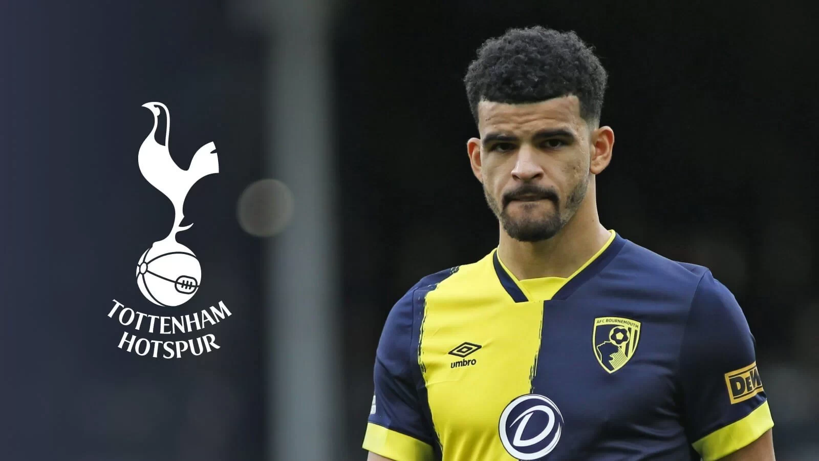 Solanke absent against Rayo Vallecano due to injury, not a Tottenham transfer: Bournemouth manager