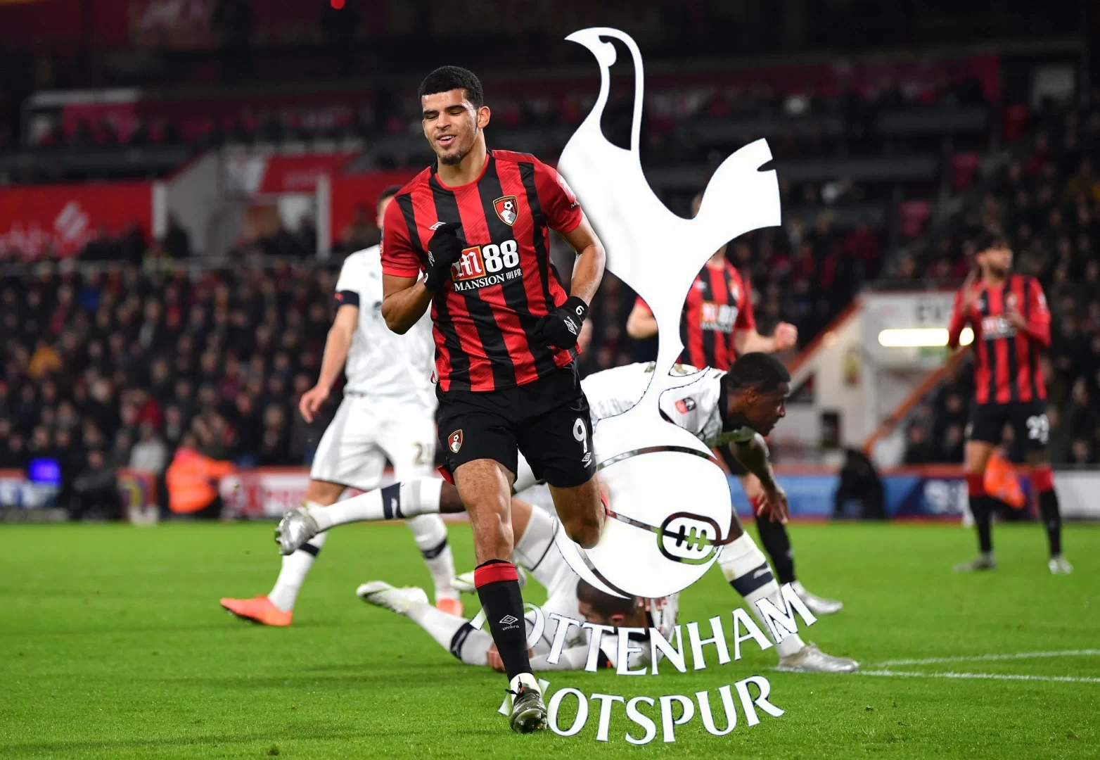 DONE: Bournemouth agree to sell Solanke to Tottenham for club-record fee